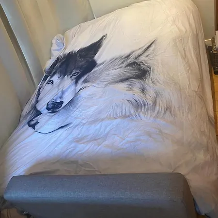 Airport Big With Bathroom Outside - Kitchen Only 7 Days Reservation Ubytování v soukromí Dublin