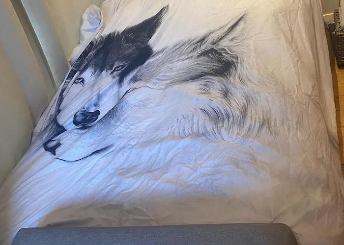 Airport Big With Bathroom Outside - Kitchen Only 7 Days Reservation Kwatera prywatna Dublin